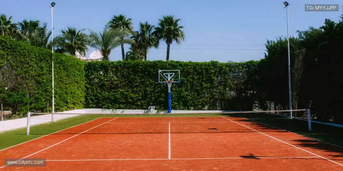 汗水与荣耀同在,见证冠军诞生的瞬间!⚽